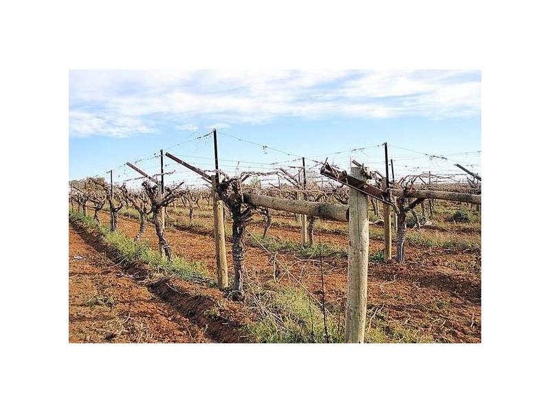 Cnr McKays Road & McEdwards Street, Birdwoodton VIC 3505