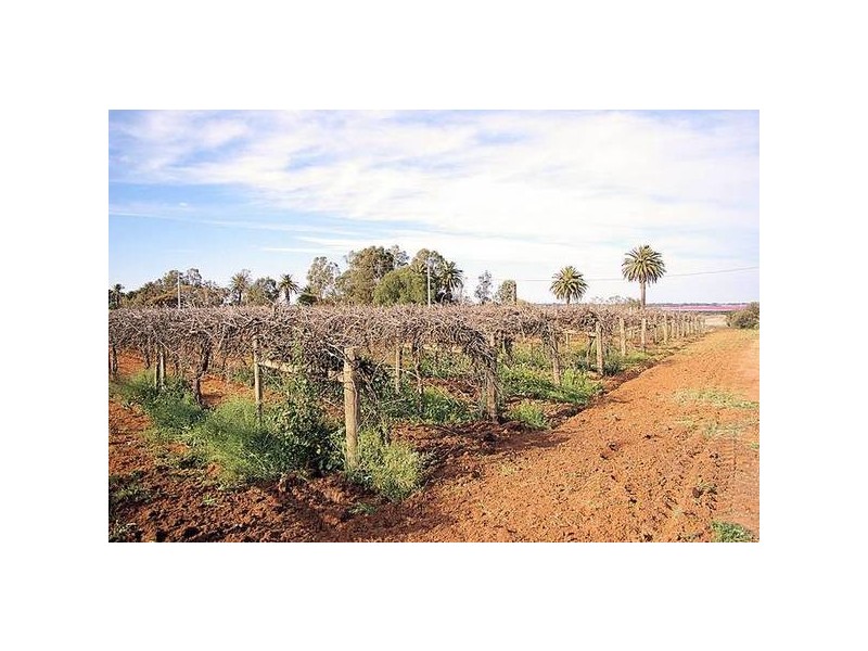 Cnr McKays Road & McEdwards Street, Birdwoodton VIC 3505