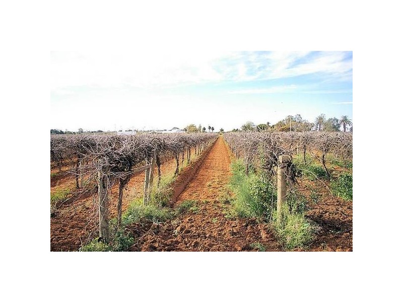 Cnr McKays Road & McEdwards Street, Birdwoodton VIC 3505