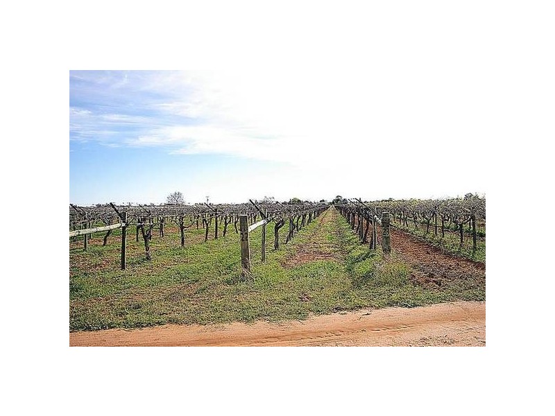 Cnr McKays Road & McEdwards Street, Birdwoodton VIC 3505