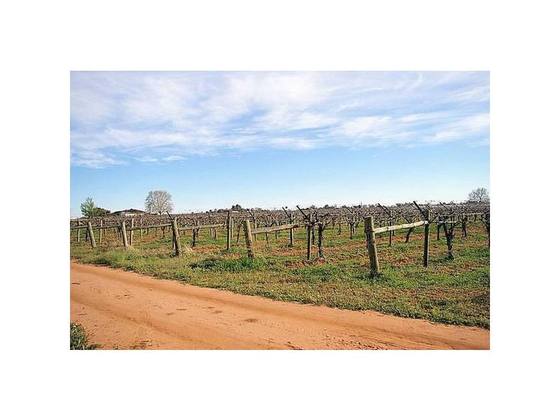 Cnr McKays Road & McEdwards Street, Birdwoodton VIC 3505