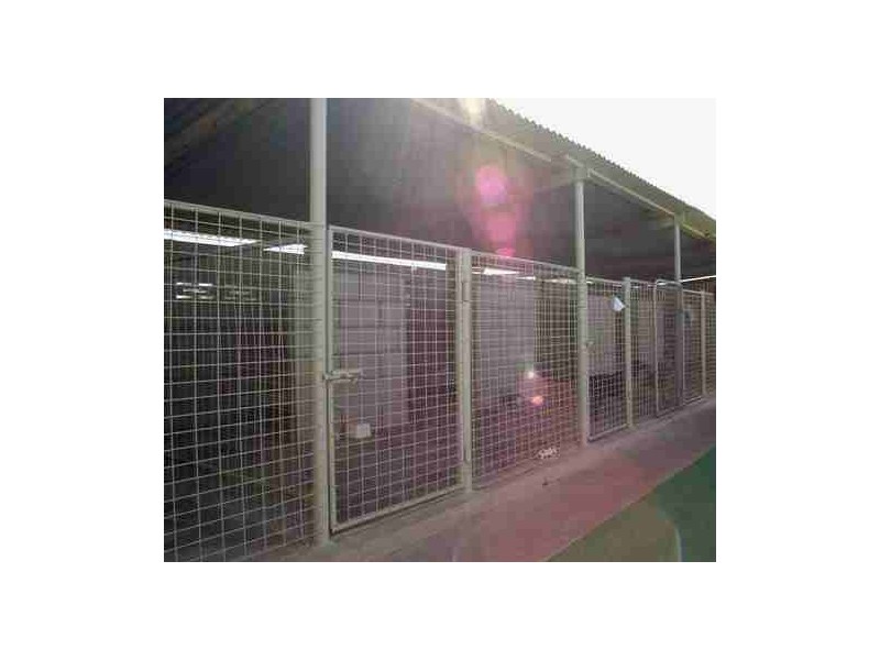 242a Oak Avenue, Mildura VIC 3500