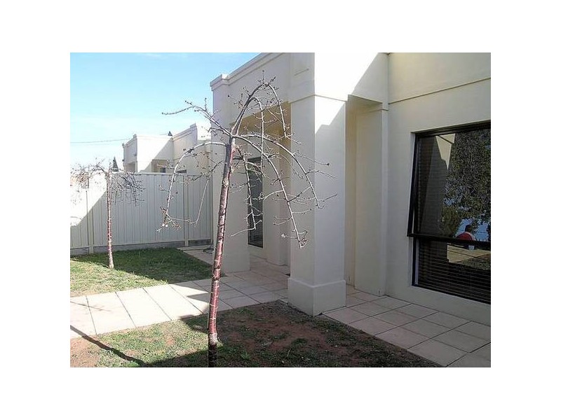 2/175 Tenth Street, Mildura VIC 3500