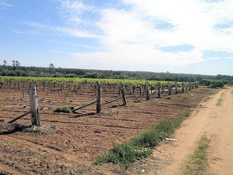 3090A Murray Valley Highway, Robinvale VIC 3549