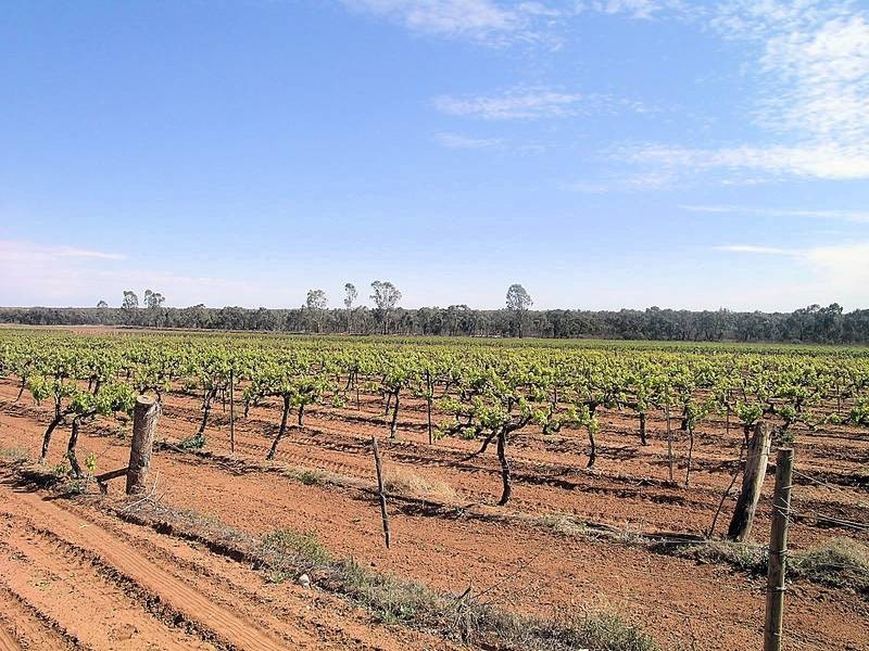 3090A Murray Valley Highway, Robinvale VIC 3549