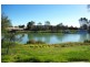 Lot 1-12,  Wentworth Street, Wentworth NSW 2648