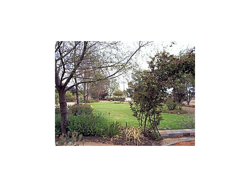 151 Campbell Avenue, Irymple VIC 3498