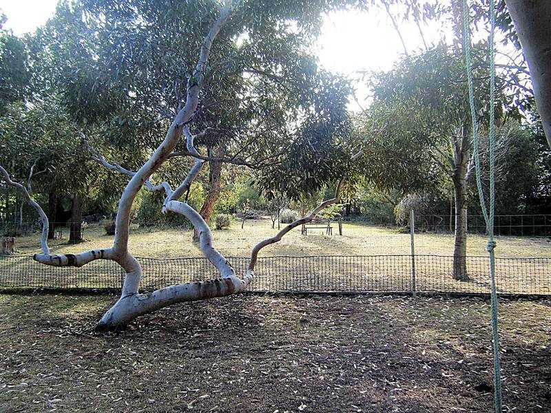 223 Dow Avenue, Cardross VIC 3496