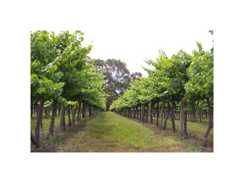 2 Hoyles Road, Yelta VIC 3505