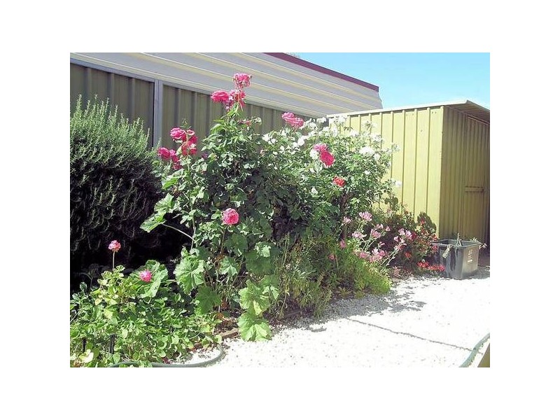 1/262 Twelfth Street, Mildura VIC 3500