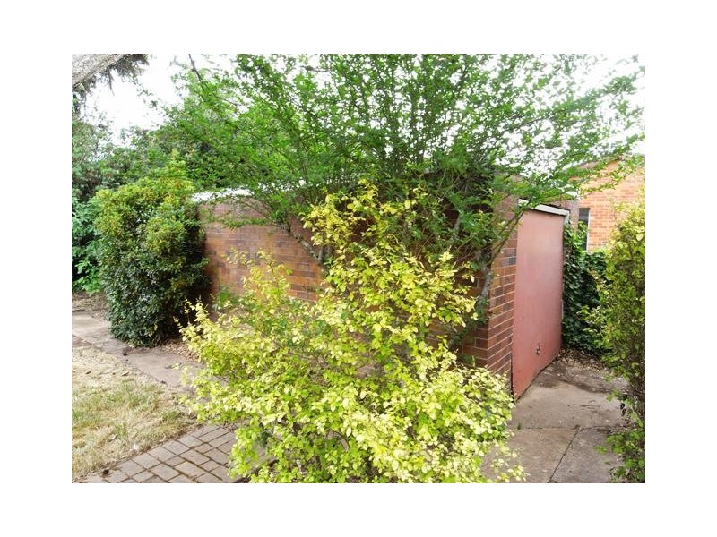 63 Ijong Street, Braddon ACT 2612