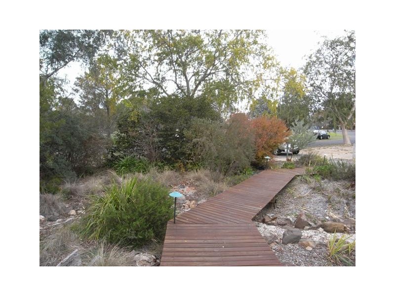16 Sundew Crescent, O’connor ACT 2602