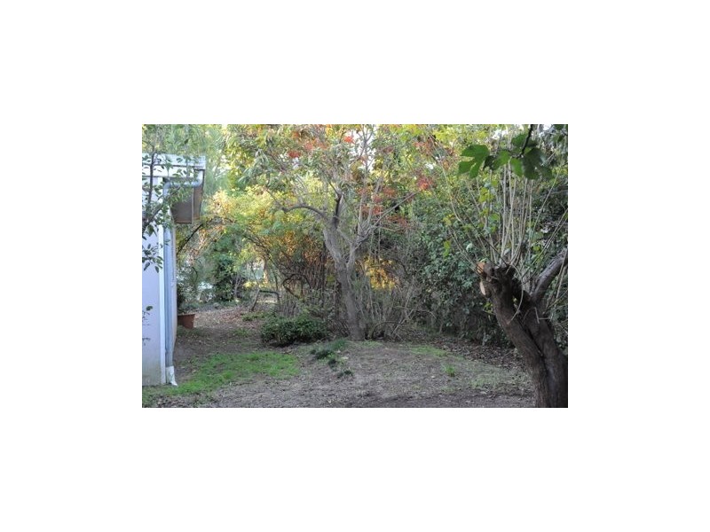 26 Hovea Street, O’connor ACT 2602