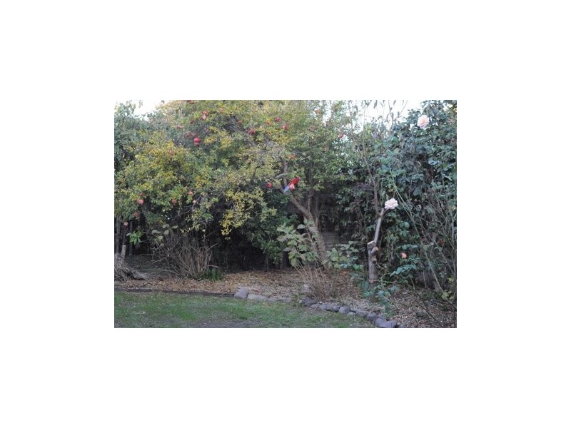 26 Hovea Street, O’connor ACT 2602