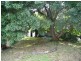 3 Wonga Street, O’connor ACT 2602
