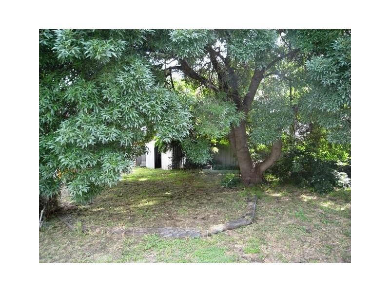 3 Wonga Street, O’connor ACT 2602