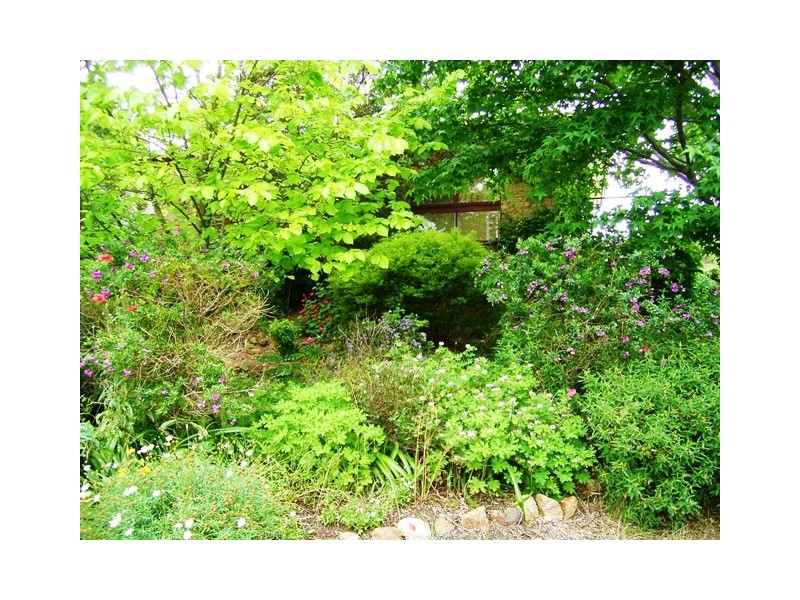 19 Strehlow Place, Flynn ACT 2615