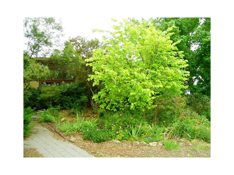 19 Strehlow Place, Flynn ACT 2615