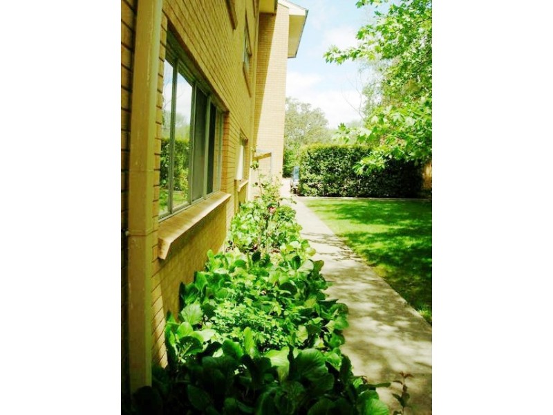 25/41 David, O’connor ACT 2602