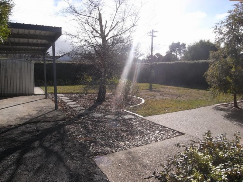 7 Caladenia Street, O’connor ACT 2602