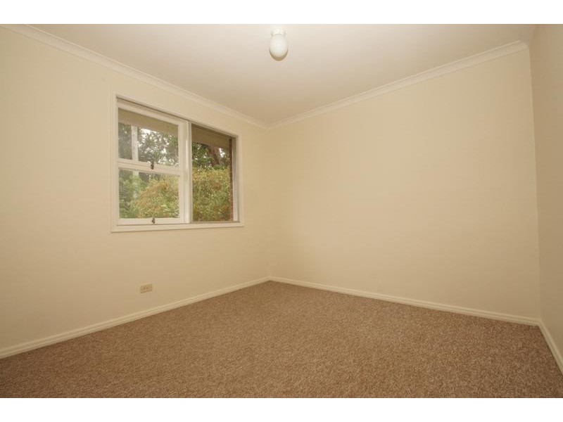 5 Lomandra Street, O’connor ACT 2602