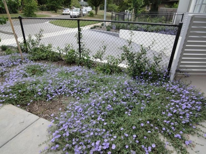 10/15 Berrigan Cresent, O’connor ACT 2602