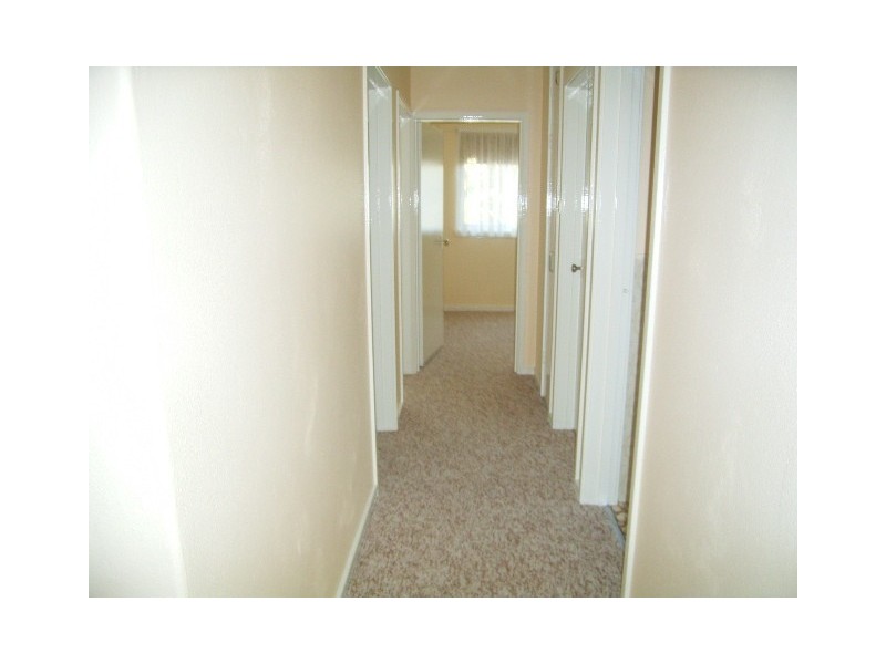 3 Cassinia Street, O’connor ACT 2602