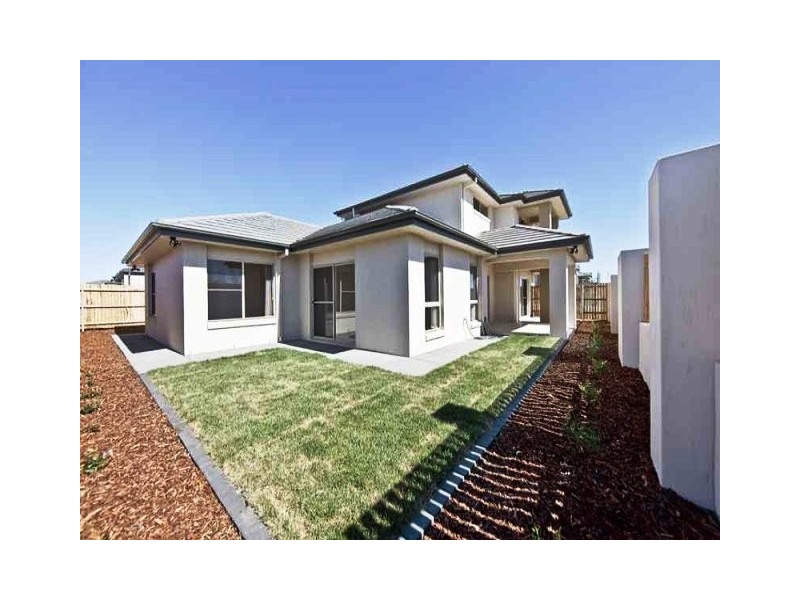 3 Daniels Street, Franklin ACT 2913