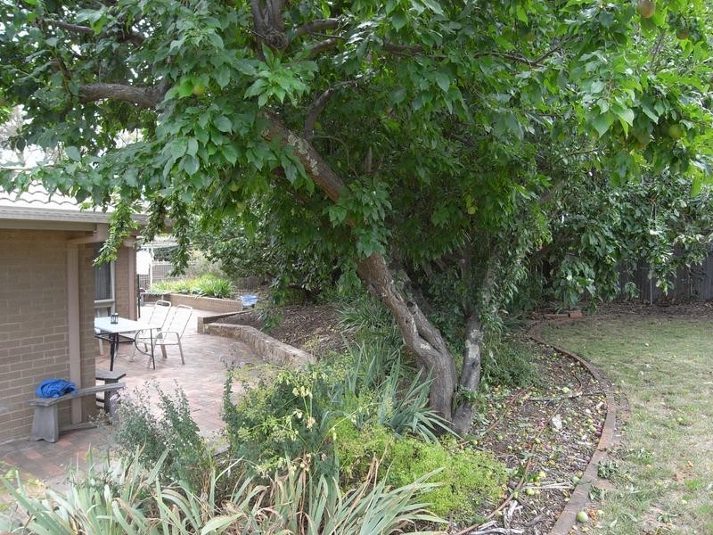 14 Smalley Circuit, Giralang ACT 2617