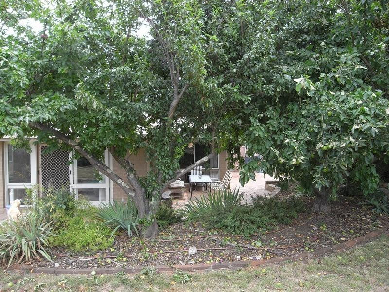 14 Smalley Circuit, Giralang ACT 2617