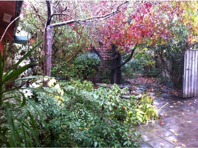 62 Mueller Street, Yarralumla ACT 2600