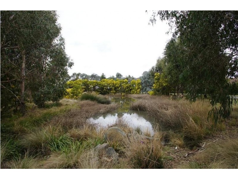 25/41 David St, O’connor ACT 2602