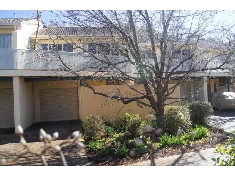 6/17 Fernyhough Crescent, Lyneham ACT 2602