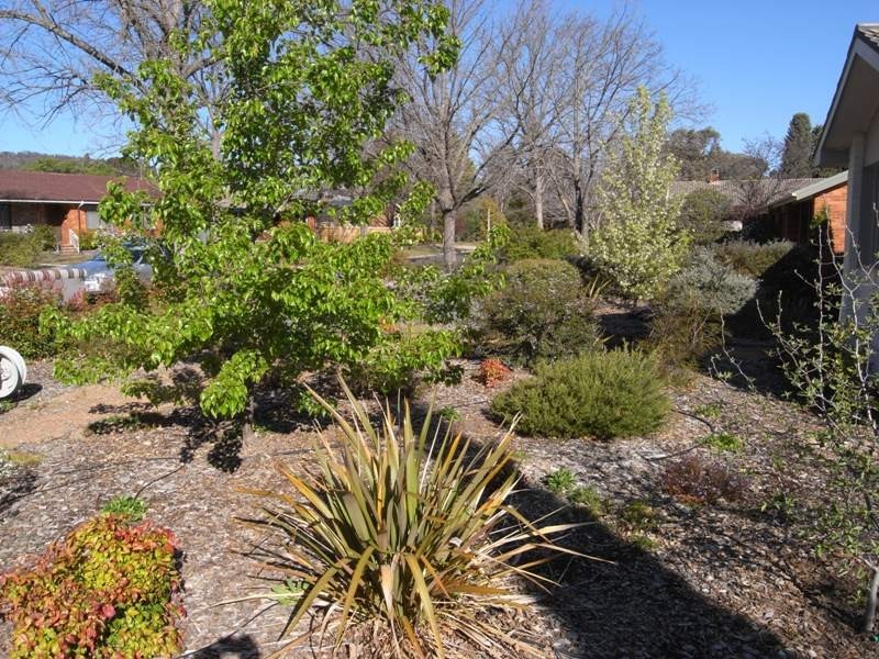 36 Blair Street, Watson ACT 2602