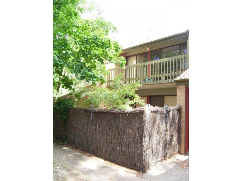 82/9 Murdoch Street, Lyneham ACT 2602