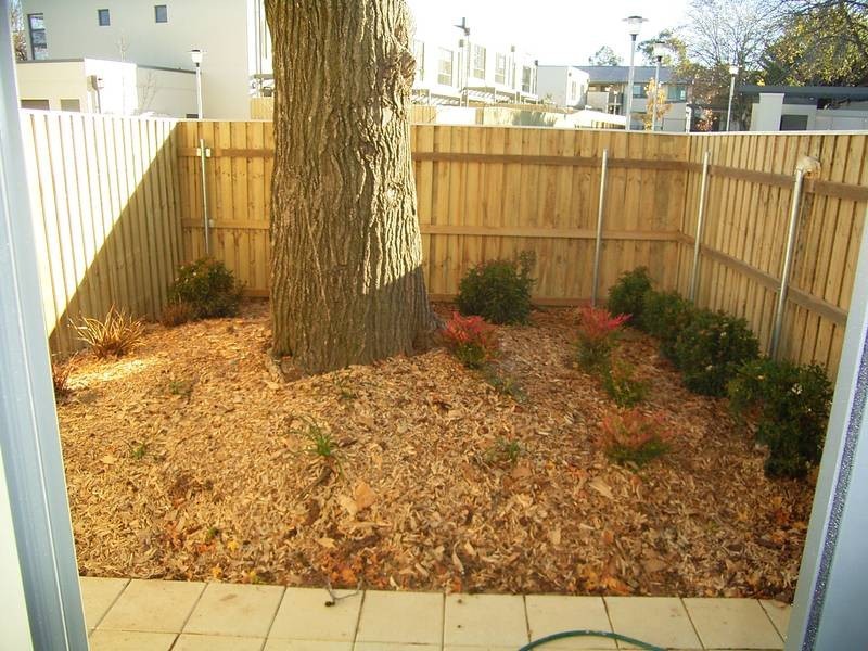 45/193 Mouat Street, Lyneham ACT 2602