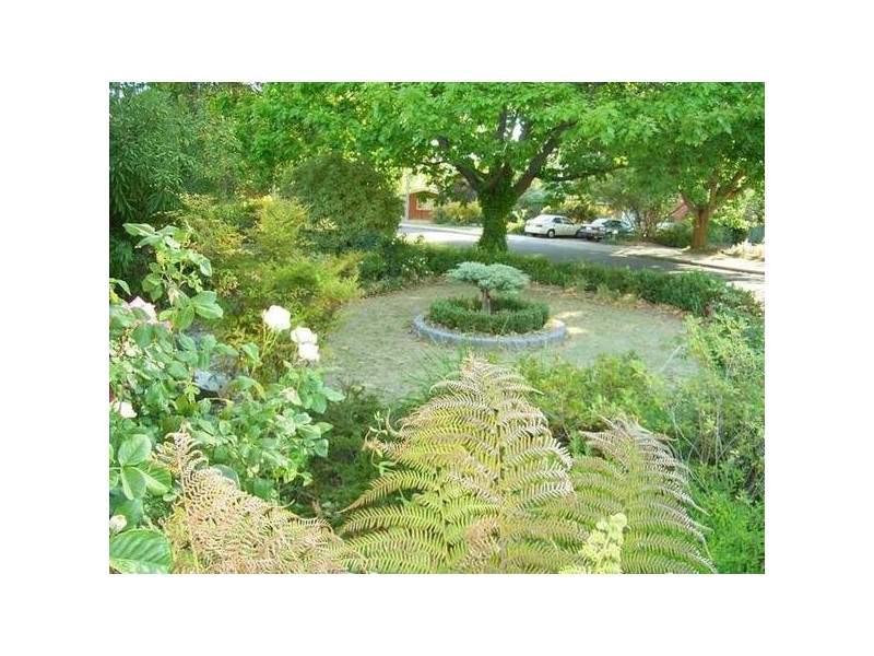 14 Archer Street, Dickson ACT 2602