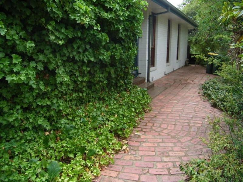 9 Macarthur Avenue, O’connor ACT 2602