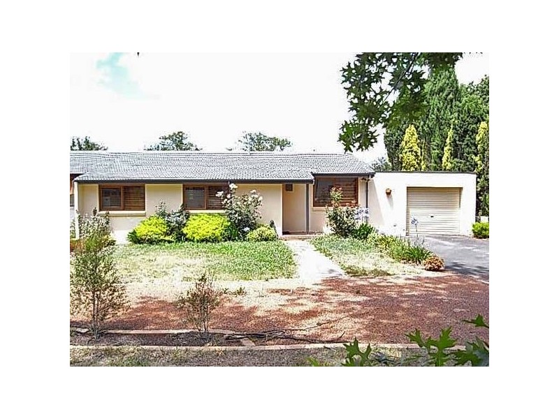 19 Archibald Street, Lyneham ACT 2602