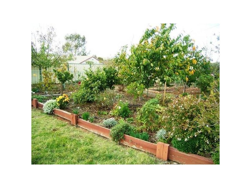 6 Thorpe Street, Florey ACT 2615