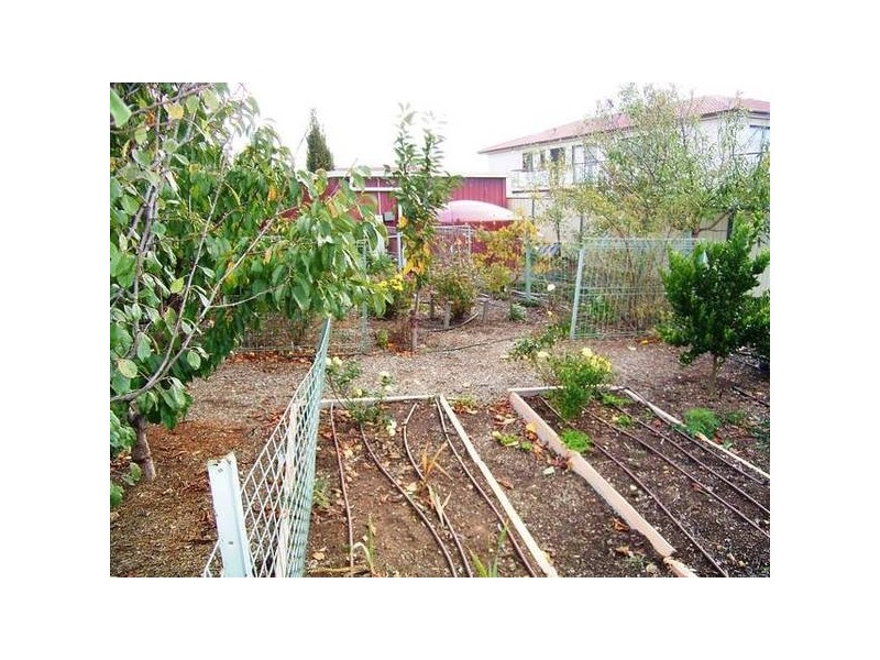 6 Thorpe Street, Florey ACT 2615