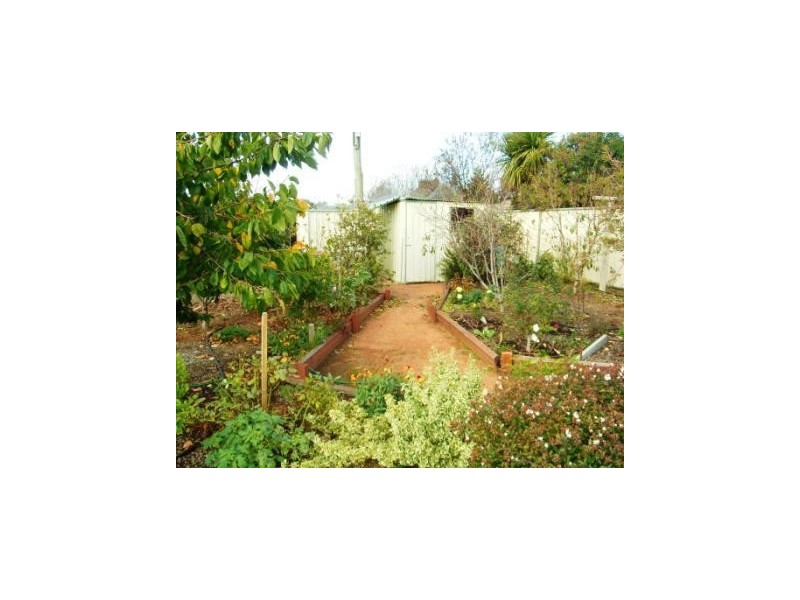 6 Thorpe Street, Florey ACT 2615