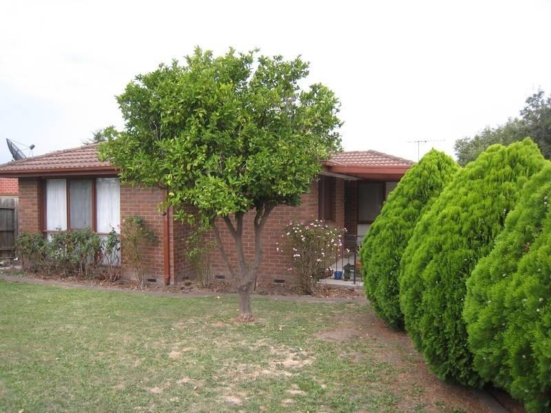 19 John Fawkner Drive, Endeavour Hills VIC 3802