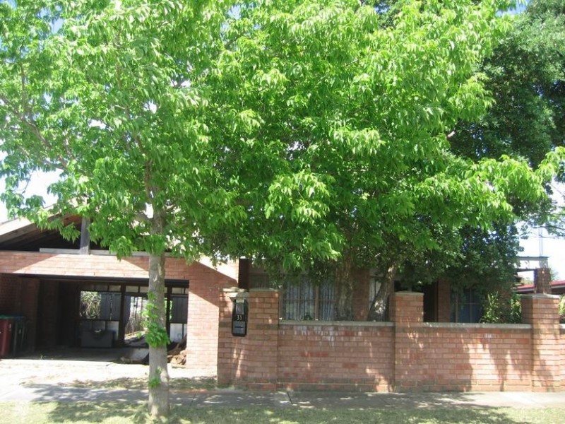 33 George Chudleigh Drive, Hallam VIC 3803