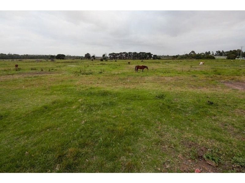 155 Brady Road, Dandenong North VIC 3175