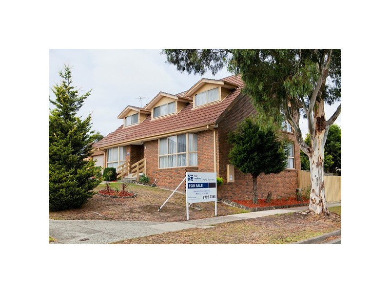 8 Conran Avenue, Endeavour Hills VIC 3802