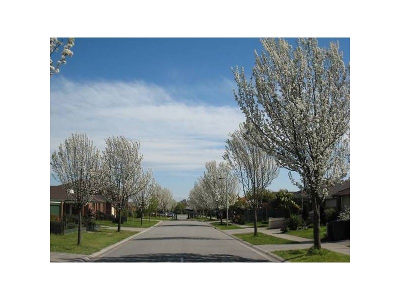 44 Botanical Grove, Doveton VIC 3177