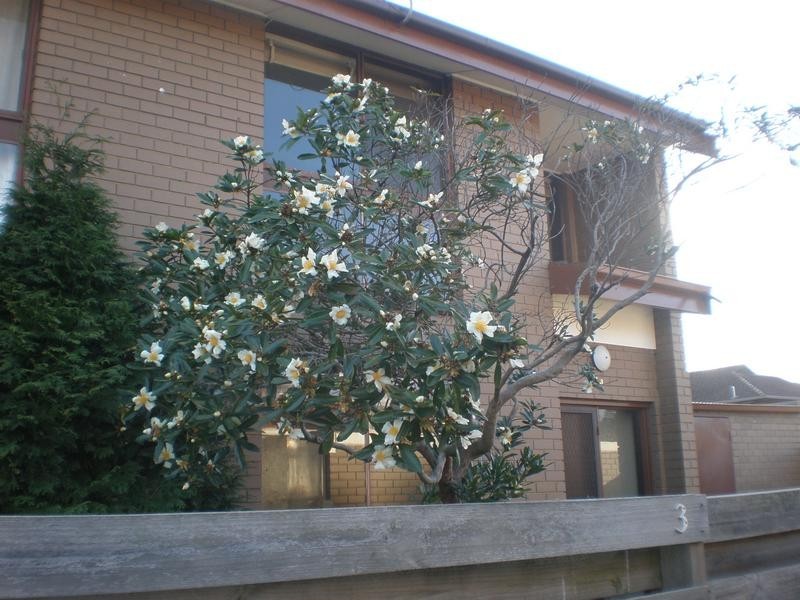 3/8 Stuart Street, Noble Park VIC 3174