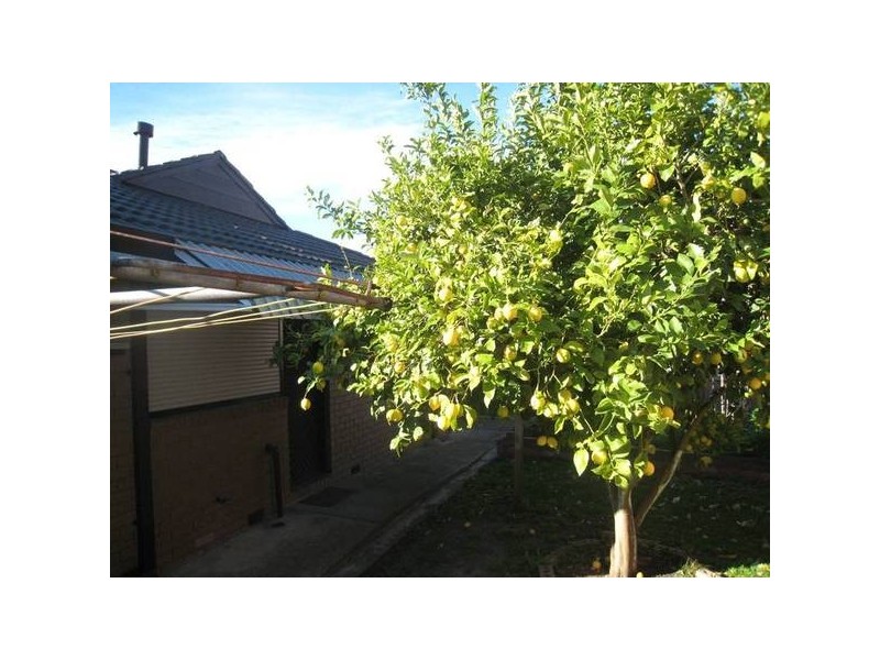 96 Rawdon Hill Drive, Dandenong North VIC 3175