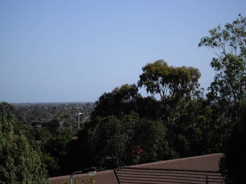 3 Dawson Court, Endeavour Hills VIC 3802